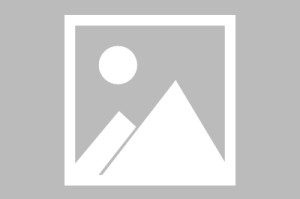 安全可靠-阿扎伦卡启幕全国总决赛9细节曝光的简单介绍